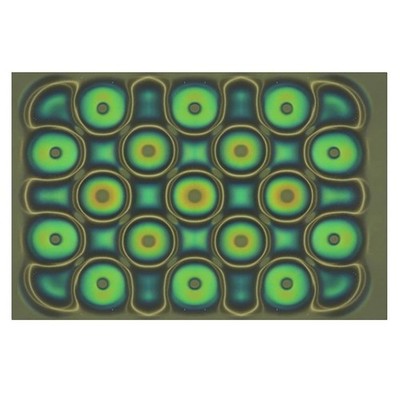 Easy to Use Magnetic Field Viewer for Science Enthusiasts and Educators