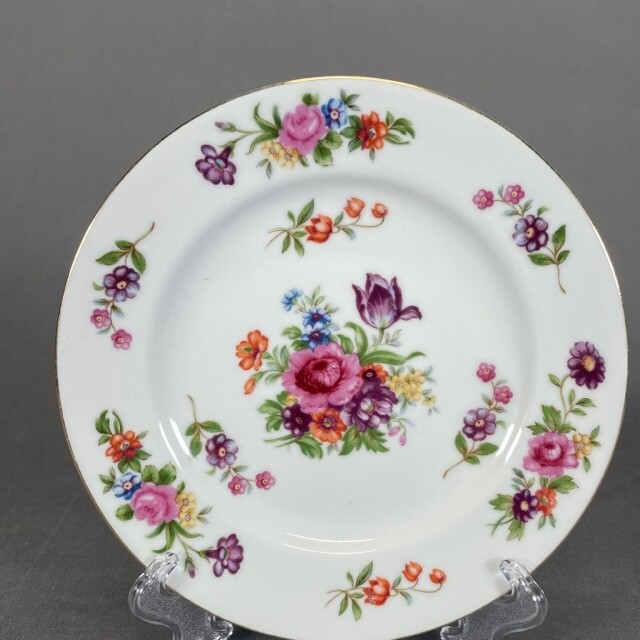 Aladdin Fine China Dresdenia Dinnerware Set Vintage 1950's