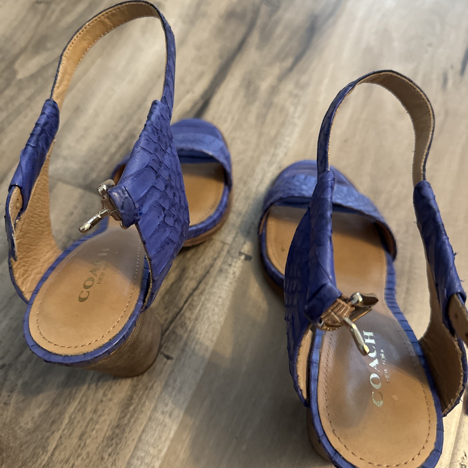 Coach Shoes - image 1