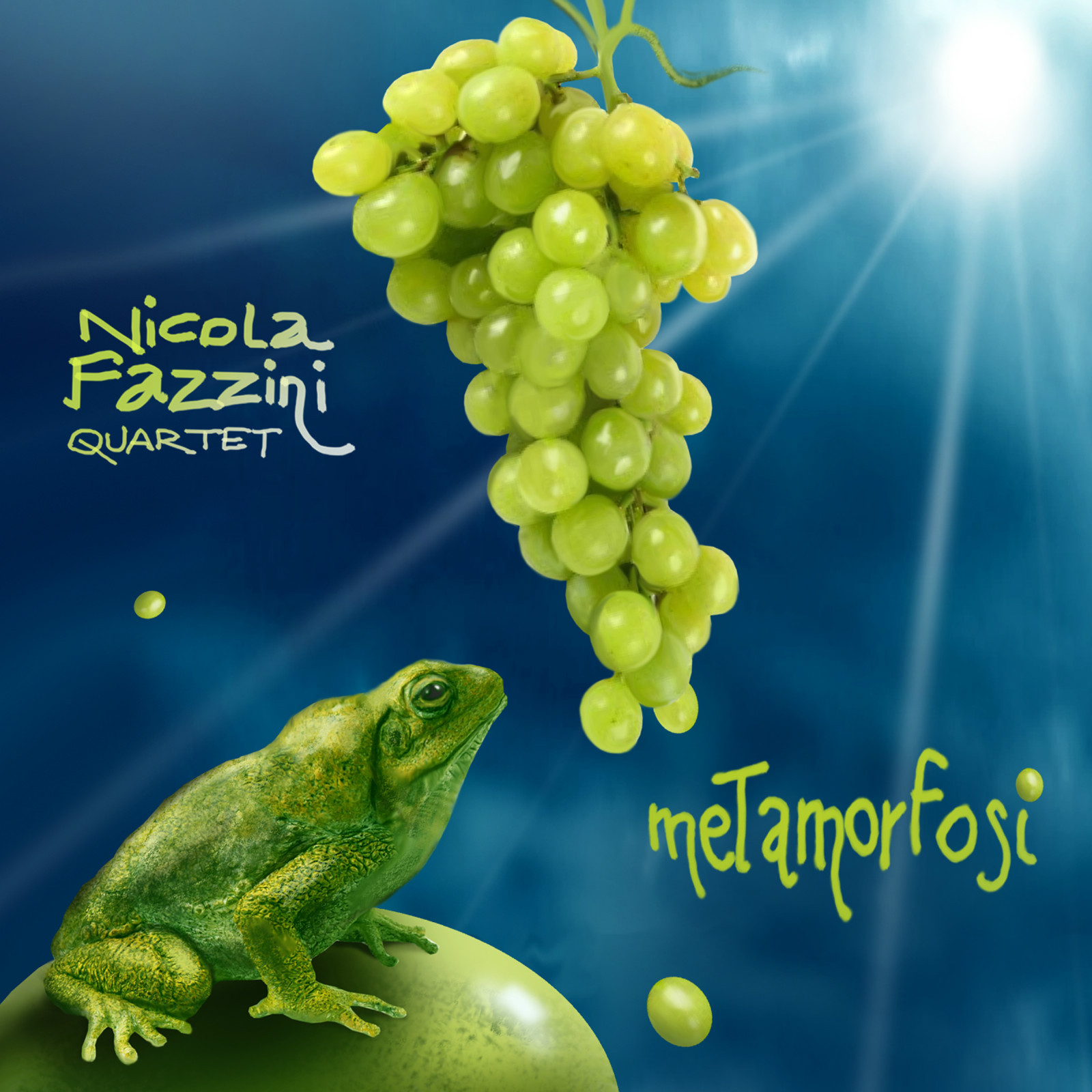 NICOLA FAZZINI QUARTET  «Metamorfosi»  Caligola 2176
