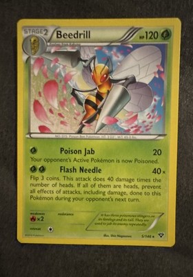 Beedrill 5/146 XY Regular