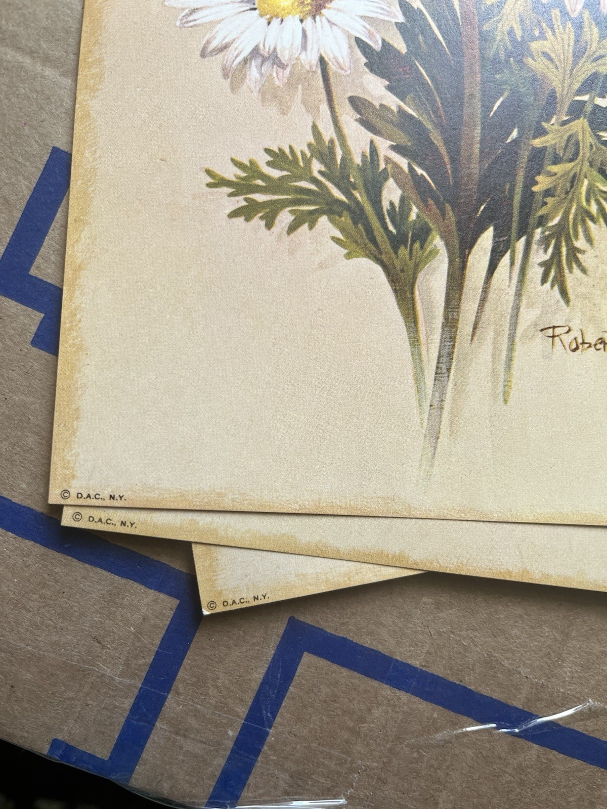 Vintage Botanical Lithograph Trio Retro Orange Yellow Florals Robert Laessig 14”