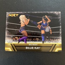 Big Boot Billie Kay NXT Card 2017 Topps WWE  F-42 Trading Card