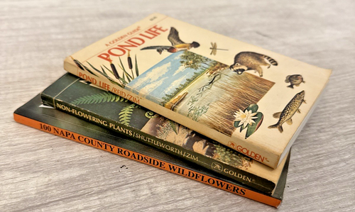 7 books   Wildflowers by Richards Lyon and Jake Ruyet (1996) - Picture 2 of 5