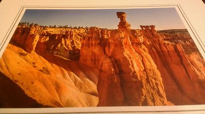 Landscape Photo Print - 8x10 - Thor's Hammer, Bryce Canyon Utah - New Matted 