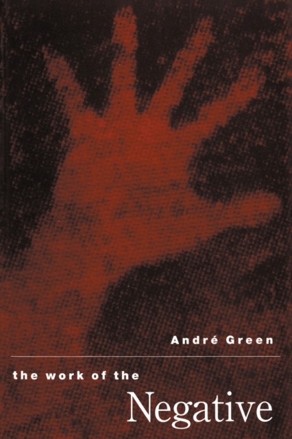 The Work of the Negative by Andre Green Paperback NEW - Image 4