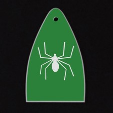 GUITAR TRUSS ROD COVER Engraved Etch Fit Paul Reed Smith PRS USA - SPIDER GREEN