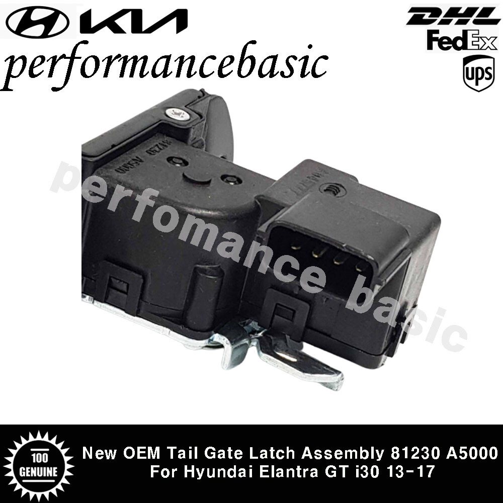 81230A5000 Genuine OEM Tail Gate Latch Assembly For Hyundai