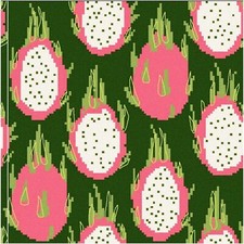 Pitayas StitchArt: Vibrant 14CT Pre-Printed Cross Stitch Kits  Embroidery Patte