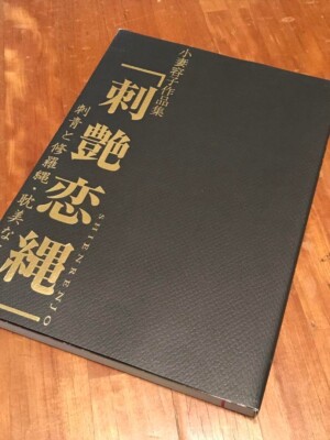 Tasty Love Rope Yoko Ozuma Art Book Tattoo Bondage SM From Japan used