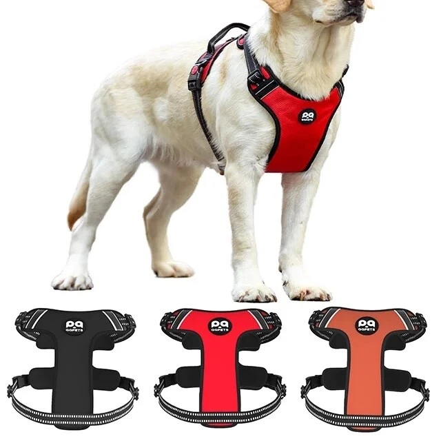 Dog harness