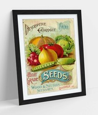 QUIRKY VINTAGE SEEDS ADVERTISEMENT ART POSTER -FRAMED WALL ART PICTURE PRINT