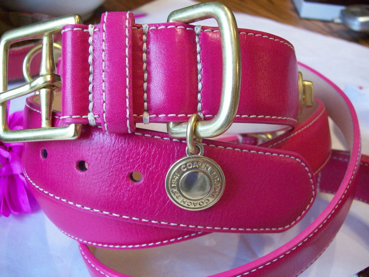 Coach cat best sale collar