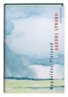Aarons Sprung von Magdalena Platzova | Buch | Zustand sehr gut - Magdalena Platzova