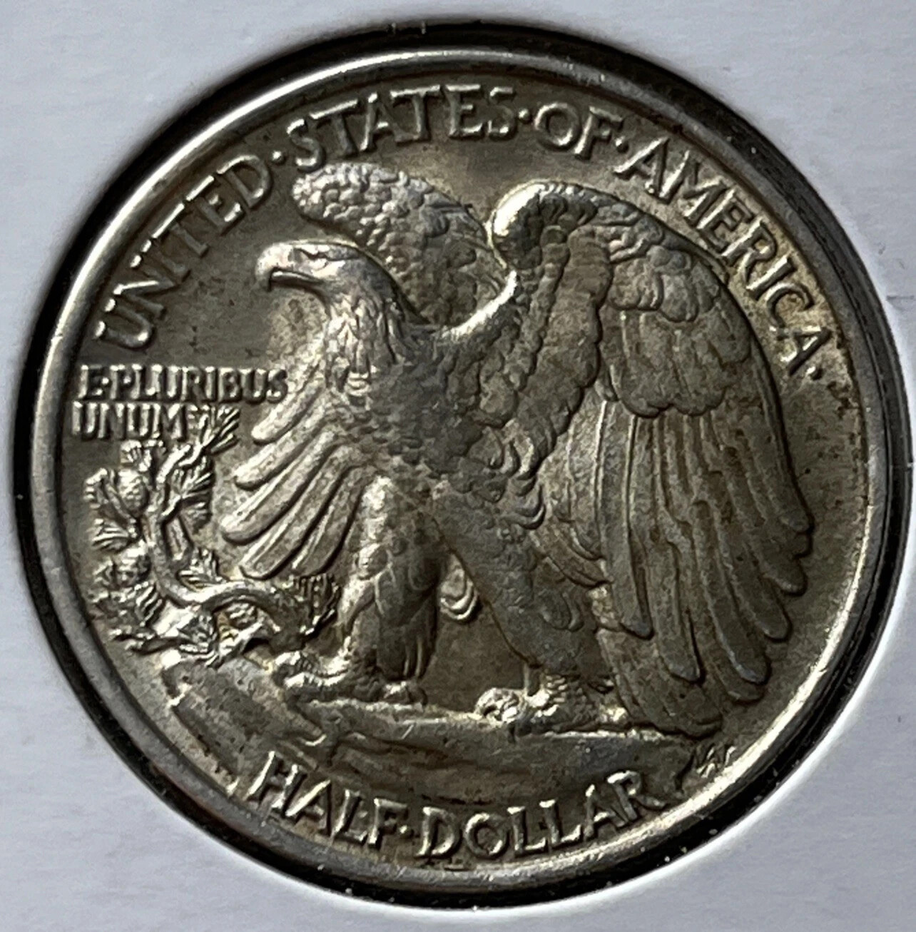 Picture 5 of 5