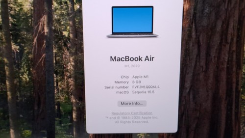 MacBook Air 13in M1 CHIP , 2020 256GB SSD 8GB RAM SN: FVFJM1QQQ6L4, MDM ENABLED - Afbeelding 12 van 21