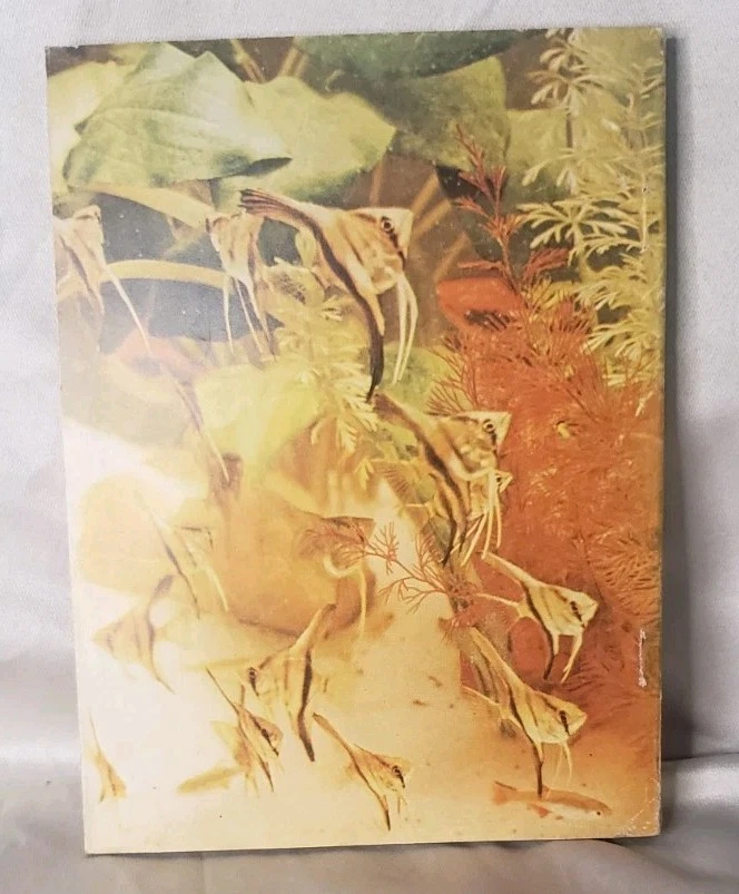 Reader's Digest October 1953 Canadian Version VG Cond - Kinsey Report, Lindbergh - Image 3 of 3