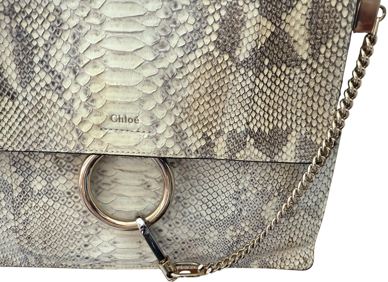 Chloe Limited Edition RARE Python Medium Faye bla… - image 4