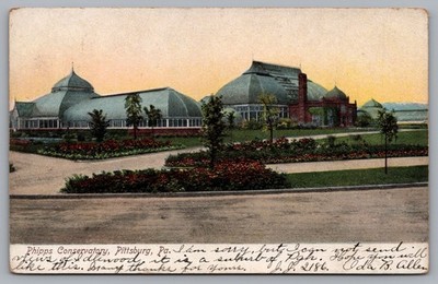 Phipps Conservatory Pittsburg PA UDB 1907 Vintage Postcard TS-249