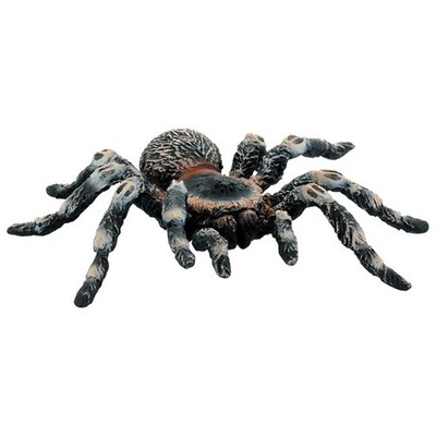 Bullyland 68457 - Weißknie Vogelspinne - Neu