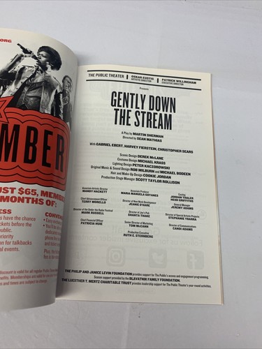 Gently Down The Stream New York Playbill mit Original Ticket Stubs 2017 Public  - Bild 5 von 6