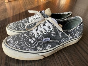 storm vans shoes