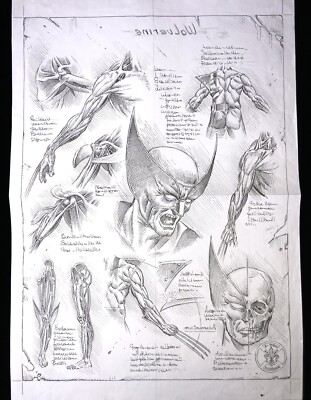 Giorgio Comolo - Wolverine X-Men ORIGINAL ART DaVinci Style LARGE Dessin Tavola