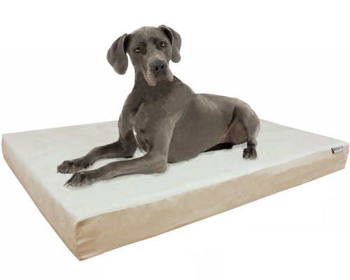 Orthopädische wasserdichte Kopfstütze Memory Foam Haustierbett groß bis extra groß XL Hunde - Bild 13 von 16