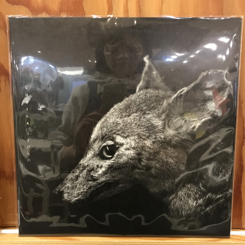 Qujira//День записи 2024/Новый альбом sasagemono GLAX005L