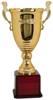 #ad GIANT 24quot; GOLD TROPHY CUP FREE ENGRAVING $265.00