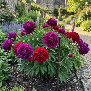 NYGardenia | eBay Stores