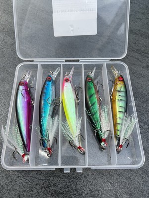 Bionic Minnow Hard Lure Wobbler 5 Stück Set Angelköder 3D Augen Hecht Zander 