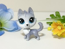 Littlest Pet Shop #95 Husky Mala Snowsledder ...