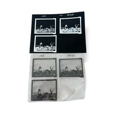 Mama Cass Bed Of Daisies Photo Neg & Contact Sheet