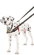 Halti Control Dog Harness M 22.83 in. - 33.85 in. Adjustable, Training and Daily