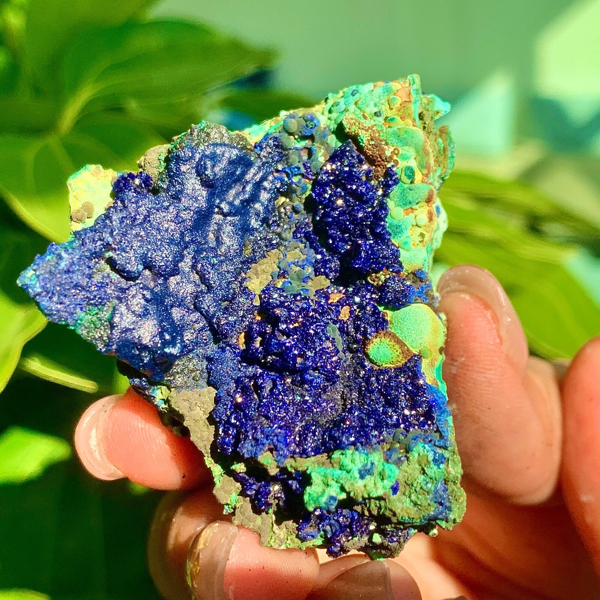 ボトリオイダル・アズライト ボトリオイダル・アズライト Azurite Nodule Geodes (Both