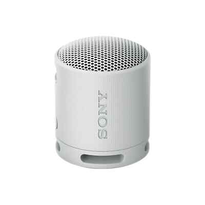 Sony SRS-XB100 kabelloser Bluetooth-Lautsprecher Grau