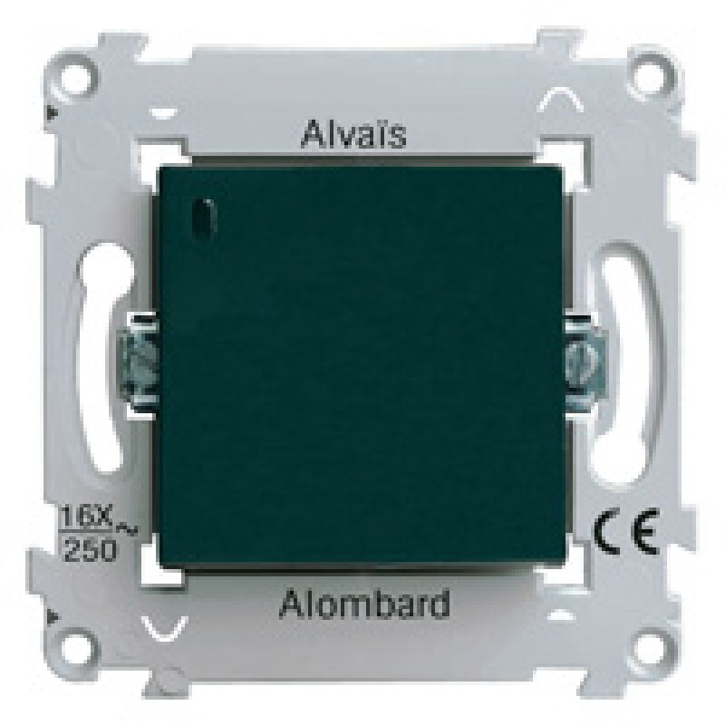 Va et vient lumineux anthracite Schneider Alvais ALB83057 voyant