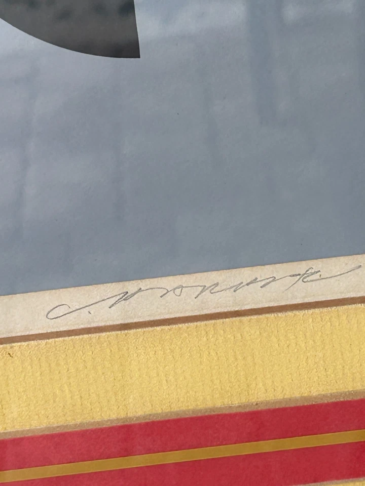 Serigrafía Charley Harper de colección "Birds of a Feather" ~ 1974 ~ 1630/2000 firmada L@@K Foto 4 de 4