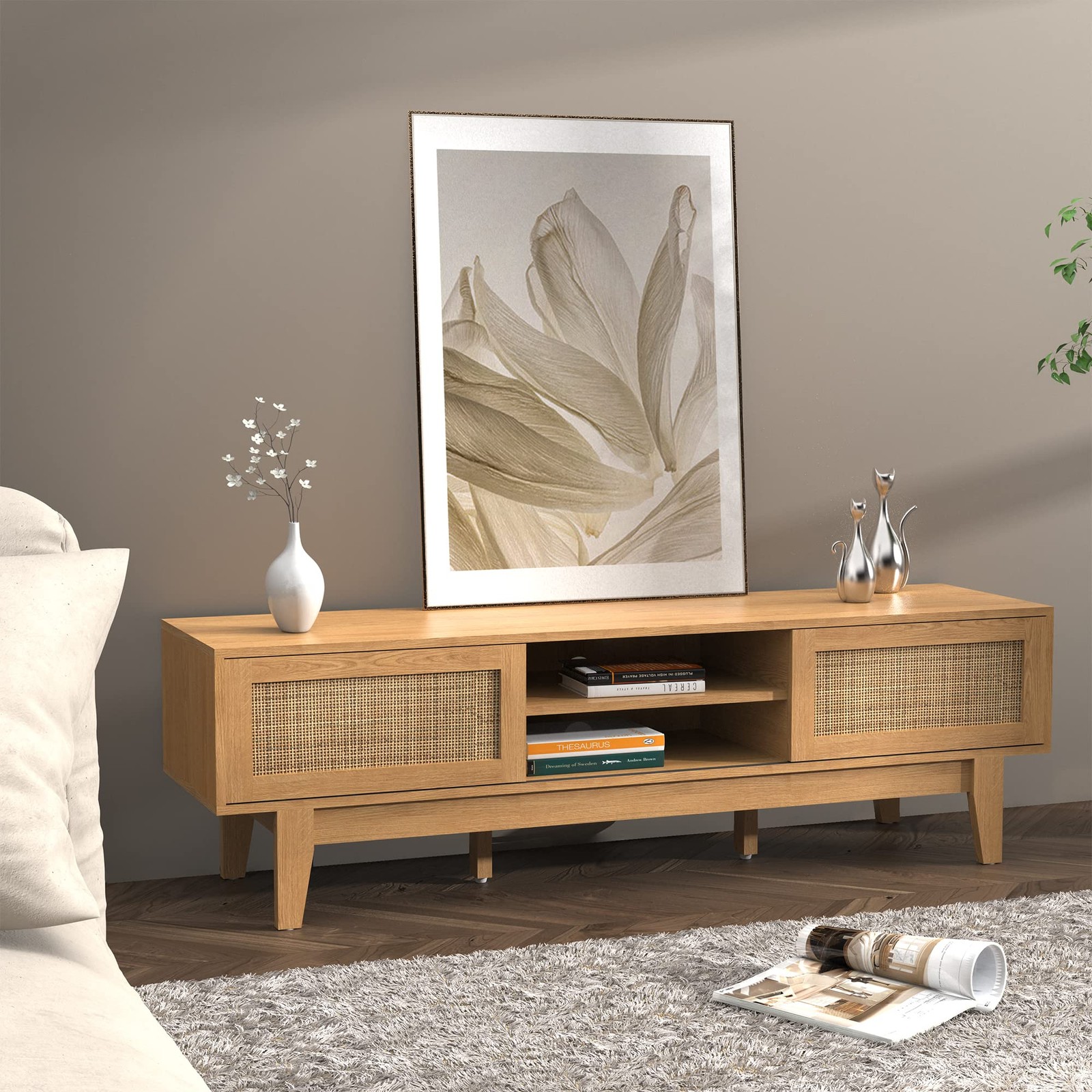 With Rattan Sliding Doors, Low Profile Television Stands For Tvs