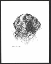 #342 GERMAN WIREHAIRED POINTER dog art print ...