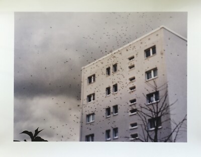 Stephen WILKS ''Berlin Marzahn'' Farbfotografie datiert 2001 signiert