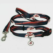 CLEVELAND INDIANS DOG PET SET COLLAR LEASH ID TAG SMALL