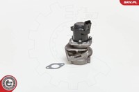 SKV Germany 14SKV027 Agr-Ventil FüR Peugeot Toyota Ford CitroËN