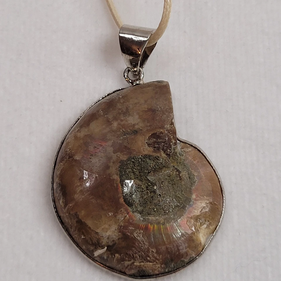 Colgante fósil concha de amonita en cordón tostado tono plata hallazgos playa Foto 4 de 4