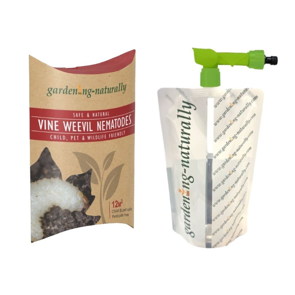 Vine Weevil Nematodes 12sq.m Gardening Naturally with Bag Applicator