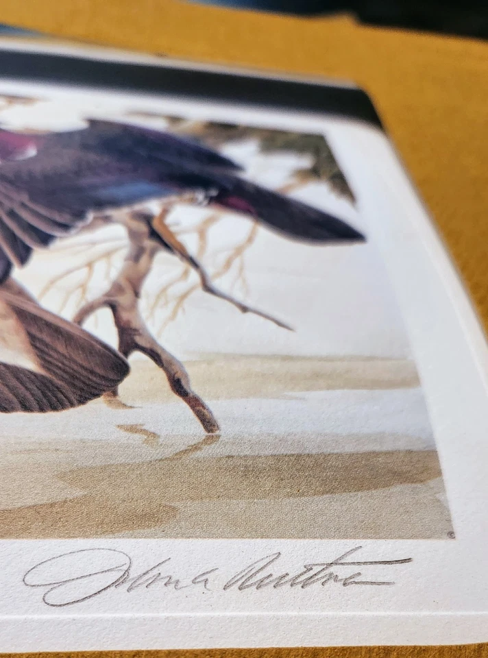 Wildlife Intl Lithograph - John Ruthven - 1982 - First Ohio Duck Stamp - #7797 - Image 3 of 4