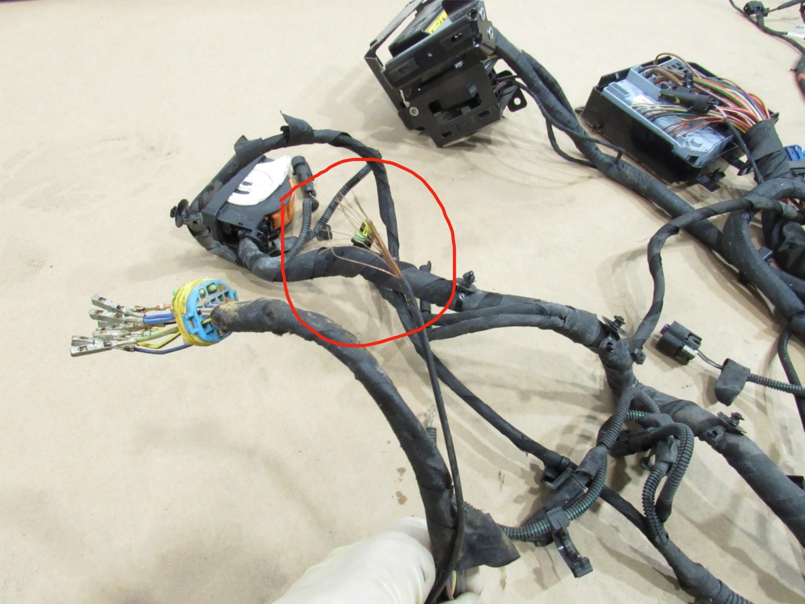 Ferrari 488 Spider 2017 3.9L Front Body Chassis Wire Wiring Harness 15-19 |Y2
