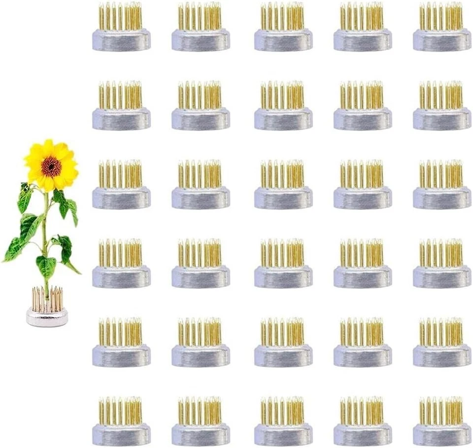 30 piezas mini ranas flores Kenzan para arreglos Ikebana - Imagen 3 de 4