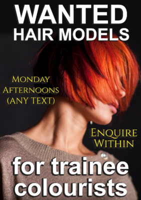Laminiertes Poster Hinweisschild Friseure Salon Haarmodelle zum Ausmalen gesucht